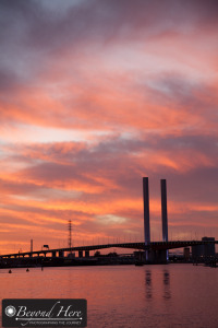 Bolte Bridge