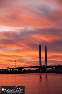 Bolte Bridge