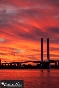 Bolte Bridge