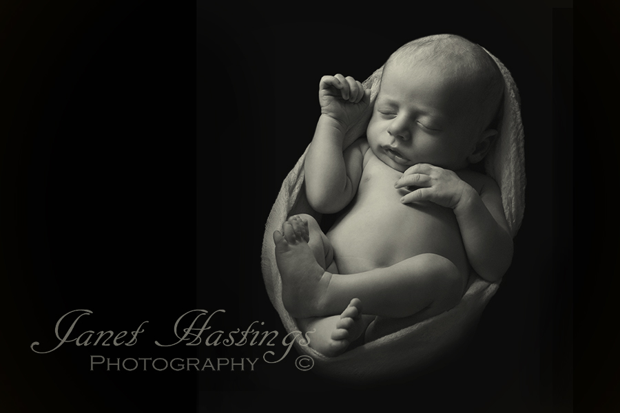 newborn photography
