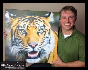tiger