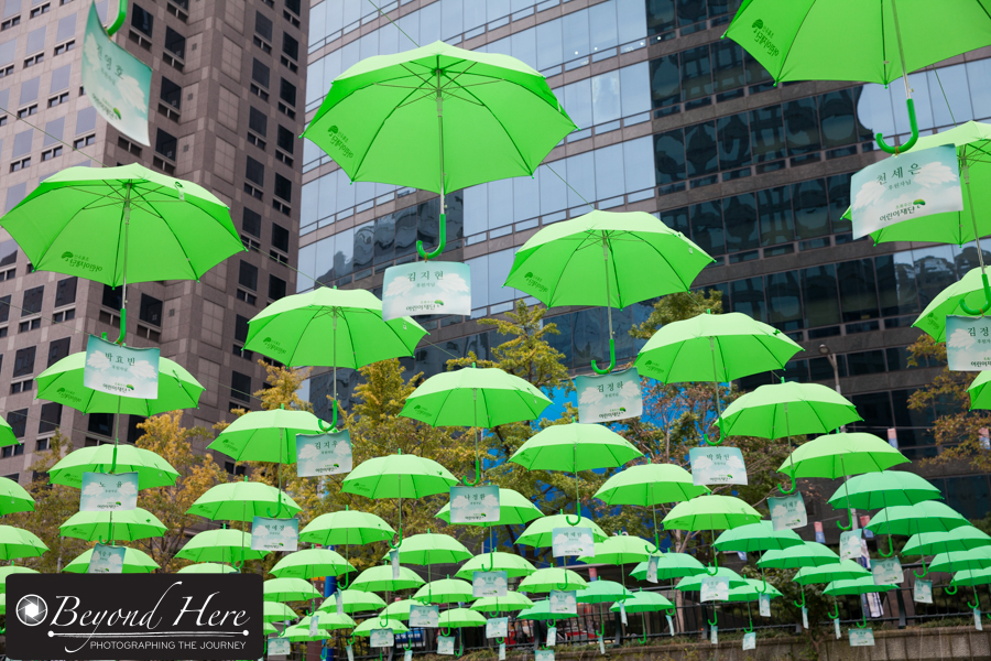 umbrellas