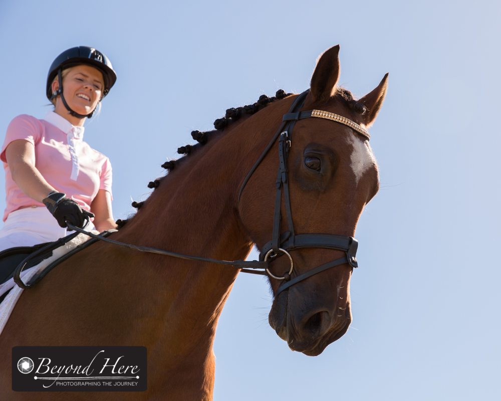 Equestrian