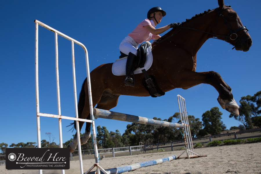 Show Jumping